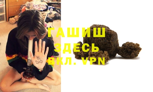 гидра Бородино